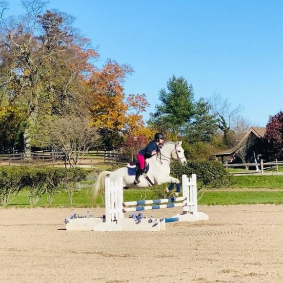 Meet your Posher, Selma - Picture 2 of 4